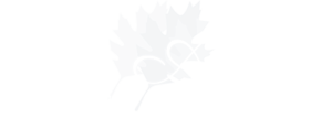 tree surgeons chelmsford