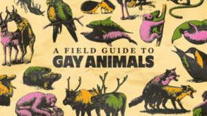 Animals