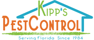 Pest control essex