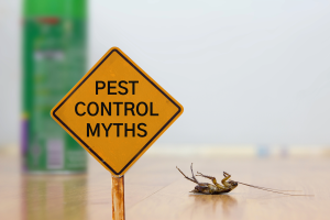 pest control rayleigh